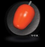 Purple Pearl Urethane - Image 2